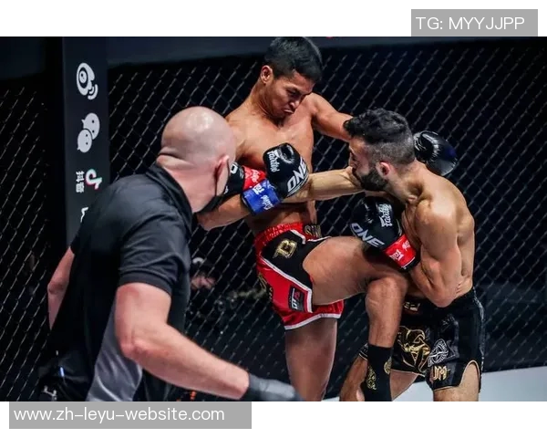 苏波邦与艾曼的巅峰对决谁将成为拳坛新王者的传奇之战